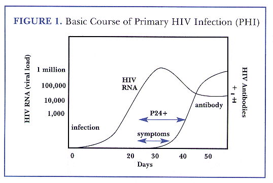 initial virus and antibody profile