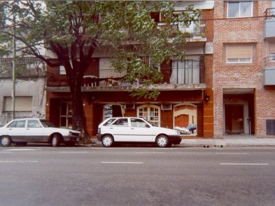 Lizas