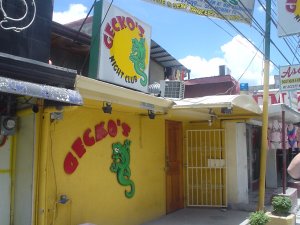 Gecko's