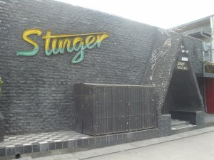 Stinger