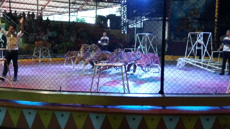 Thailand2