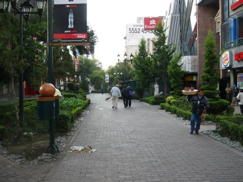 Zona Rosa 1