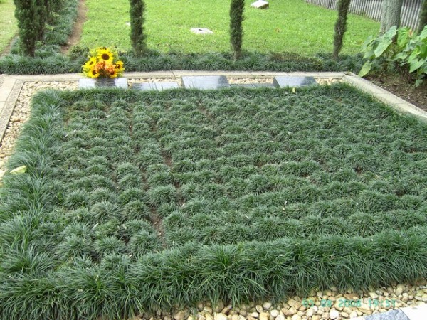 image063.jpg