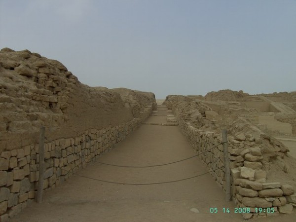 image230.jpg