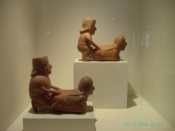 image260.jpg