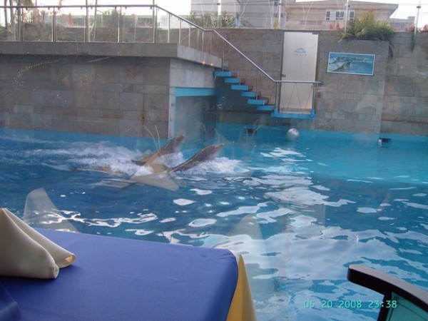 image324.jpg