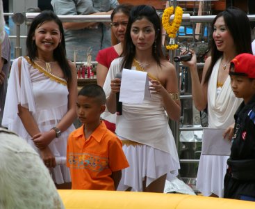 Models