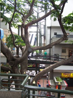 Oviedo Mall