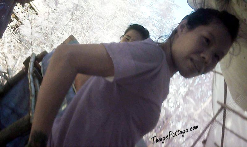-My Image-